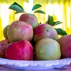 Manzana cabeza de niño