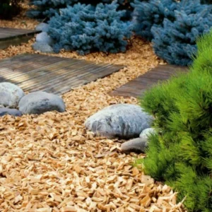 chips en jardines